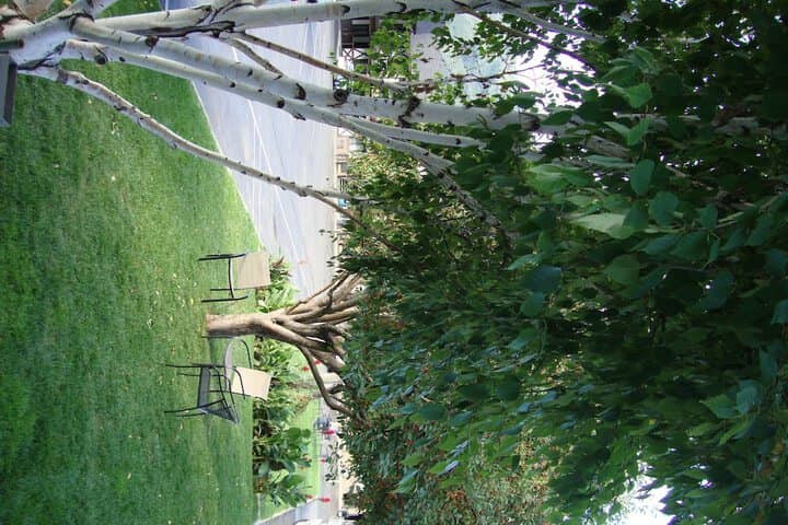 Property grounds